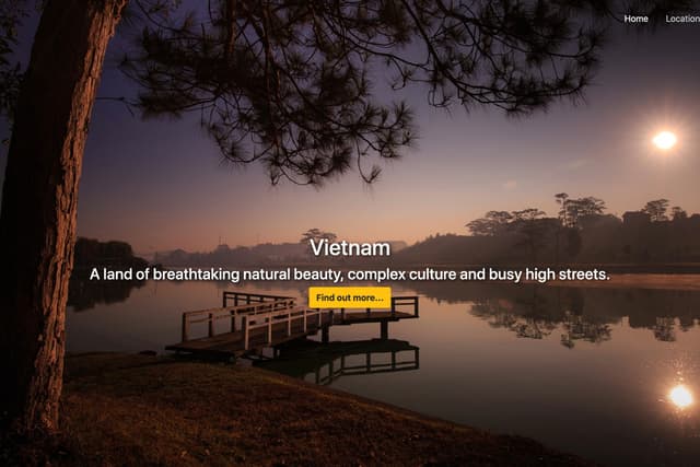Vietnam Demo